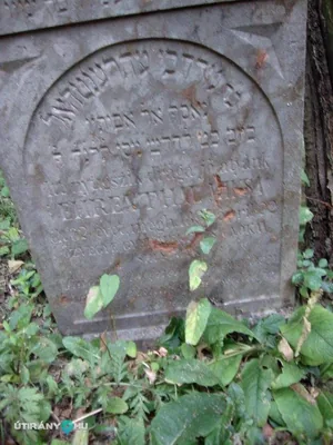 Fotók: 2015 Hegedűs László