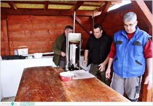 Pénzesgyőr, Falusi Disznóvágás 2025