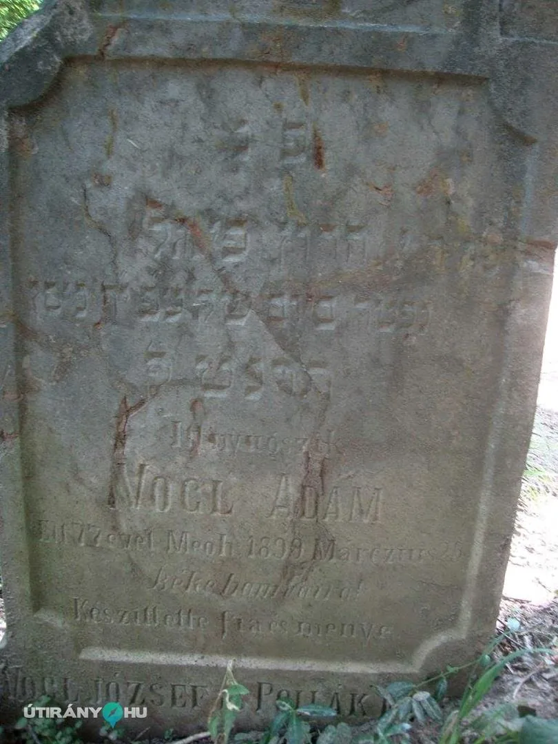 Fotók: 2015 Hegedűs László