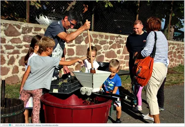 Szüretelő Falunap Szentkirályszabadja