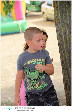 Fotók, Útirány.hu: