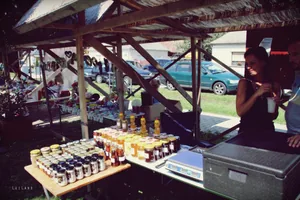 Millenniumi Falunap 2018, Képek: LuiLand