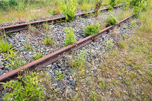 'Vasúti gyomirtási tevékenység' cikk borítóképe
