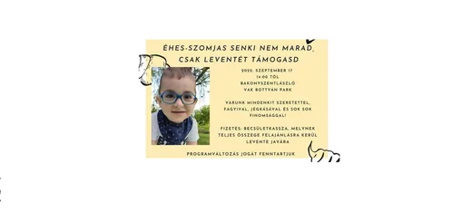 'Jótékonysági Piknik Leventéért' cikk borítóképe