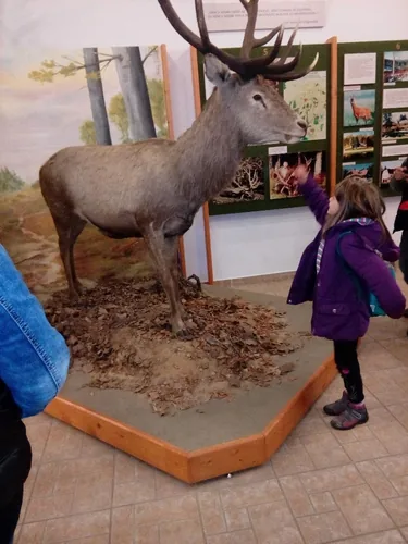 Kirándulás Lentibe