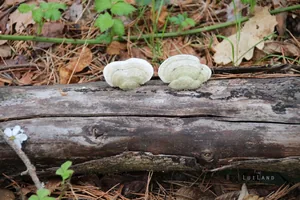 Fotók és kisfilm: Útirány.hu