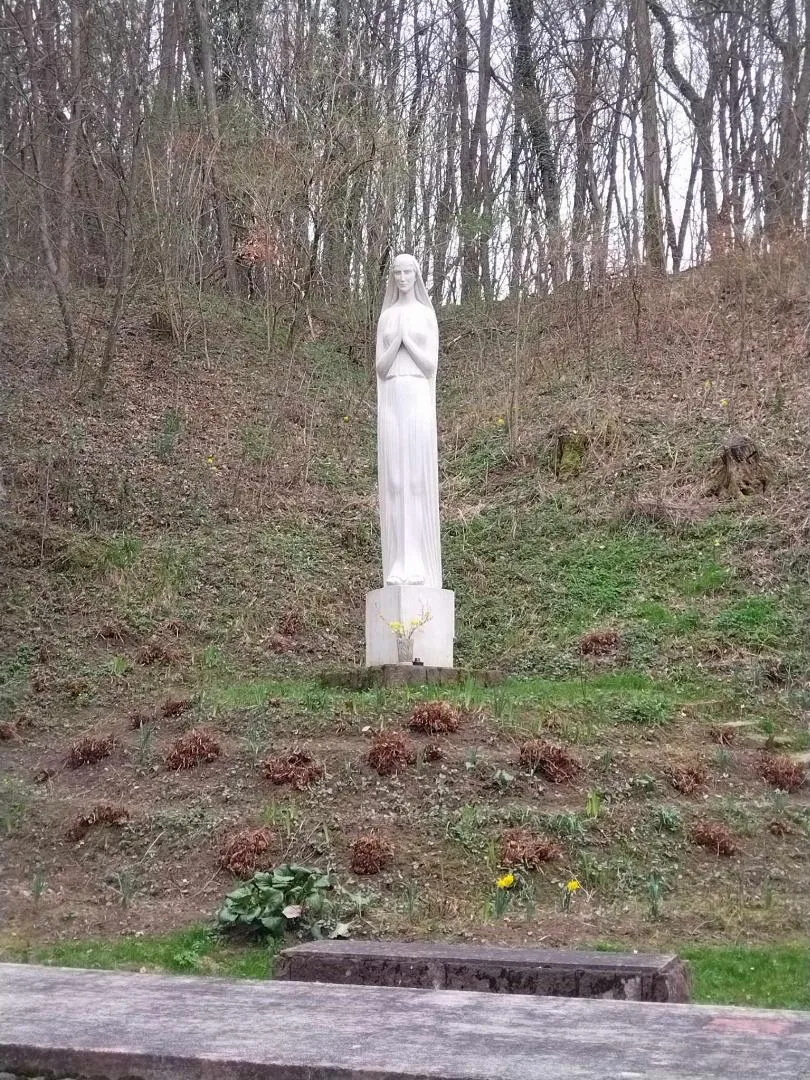 Fotók, Vadon Vándorai 