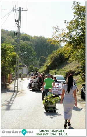 Képek