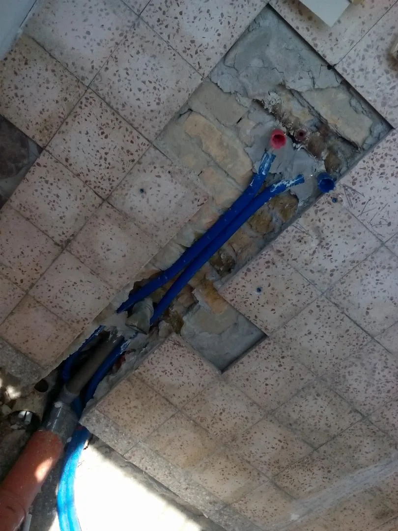 Megújulás képei 2017