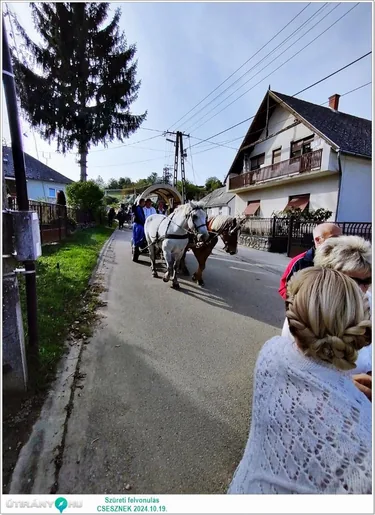 Szüreti felvonulás és Bál