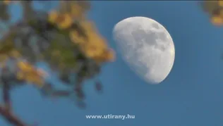 Természet ami körbevesz borítóképe