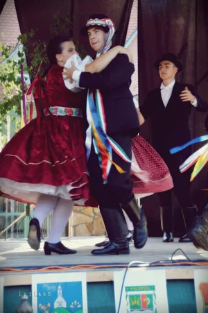 Millenniumi Falunap 2018, Képek: LuiLand