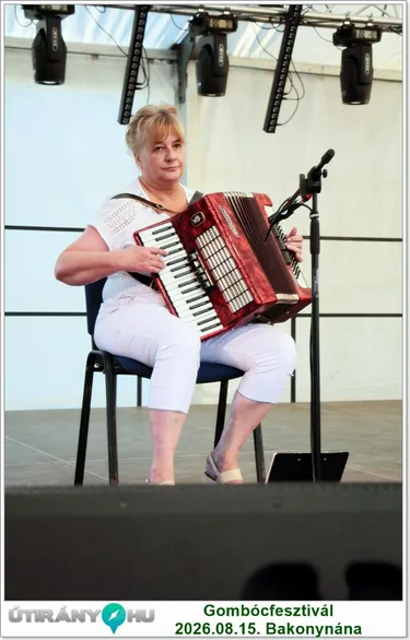 Gombócfesztivál
