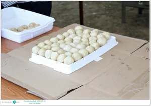 Fotók: Útirány.hu