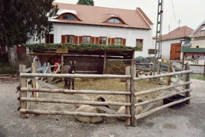 Betlehem 2019 Fotó: Nagy Ferenc