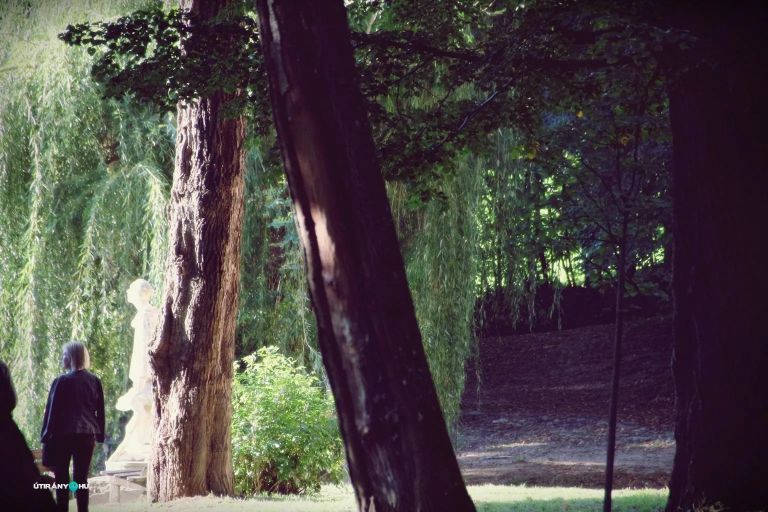 Teremtés Napja 2018. Fotók: Útirány.hu