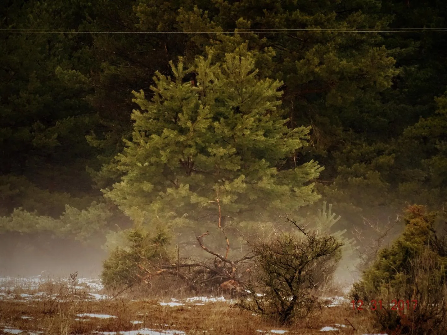 Kedvcsináló képek tavalyról! Fotók: Horváth Attila