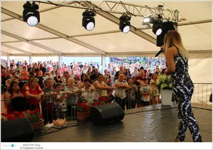 Fotók, Útirány.hu: