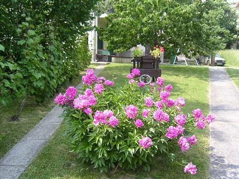 'Szabó Vendégház' cikk borítóképe