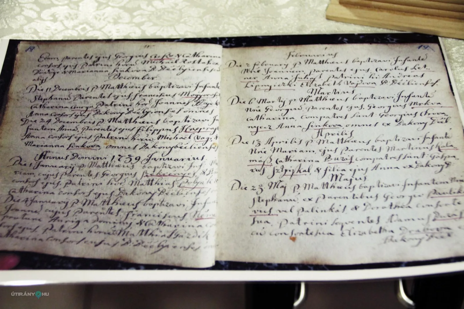 Teremtés Napja - Család-fa ültetés / Fotók: Útirány.hu