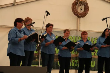 XIV. Bakonyi Krumpliszüreti és Művészeti Fesztivál 2016