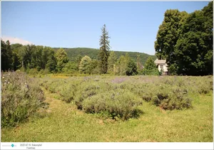 Fotók, Útirány.hu: