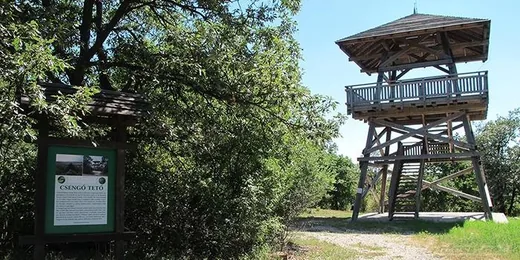 'Csengő-hegyi kilátó' cikk borítóképe