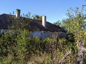 Kaptunk párdarab képet... Sajnos rosszabb mint gondoltuk