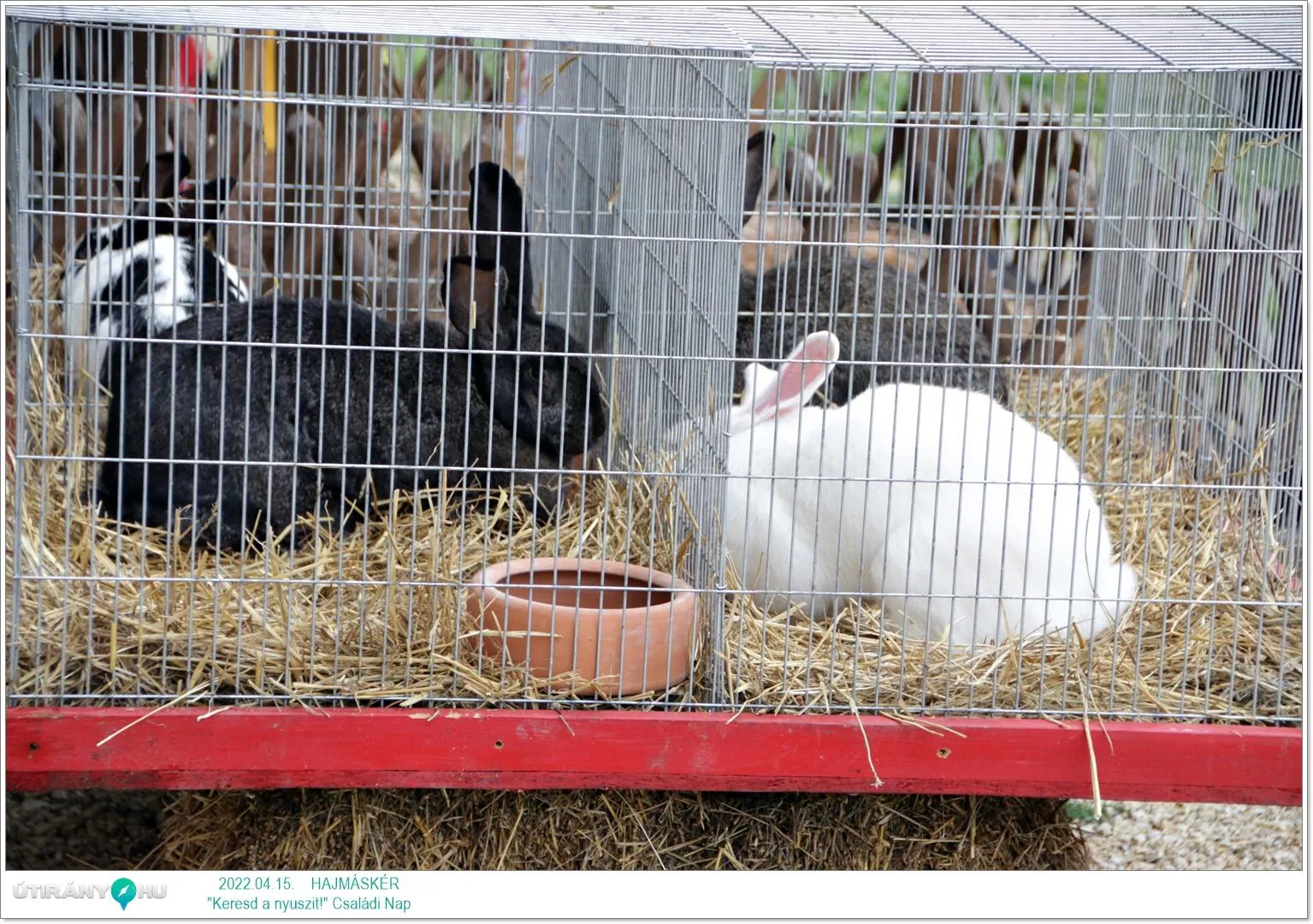 Fotók az eseményről: