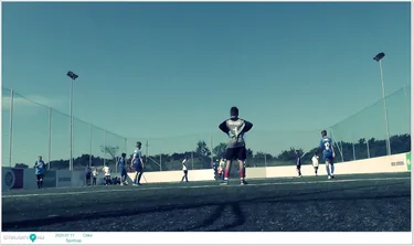 Sportnap