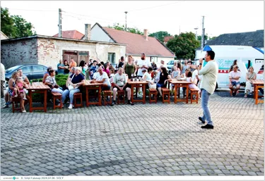 X. Sólyi Falunap