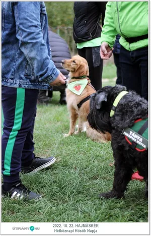 Fotók, Útirány.hu