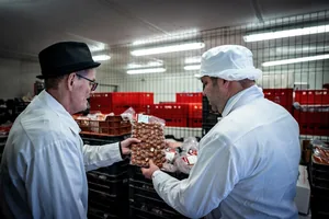 Képek: Horváth Dorottya