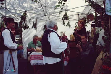 Nemzeti Vágta, szurkoljunk együtt a Bakonynak!