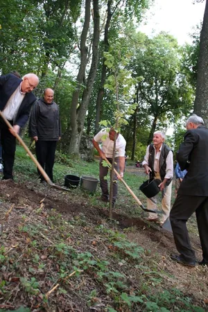 Fotók: BakonyiHírek