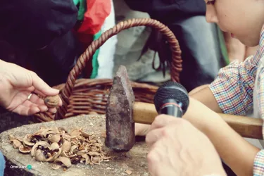 Nemzeti Vágta, szurkoljunk együtt a Bakonynak!