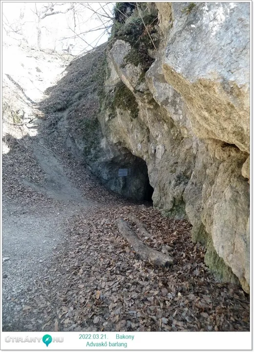 'Odvaskő-barlang' cikk borítóképe