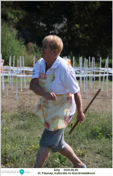 VI. Sólyi Falunap