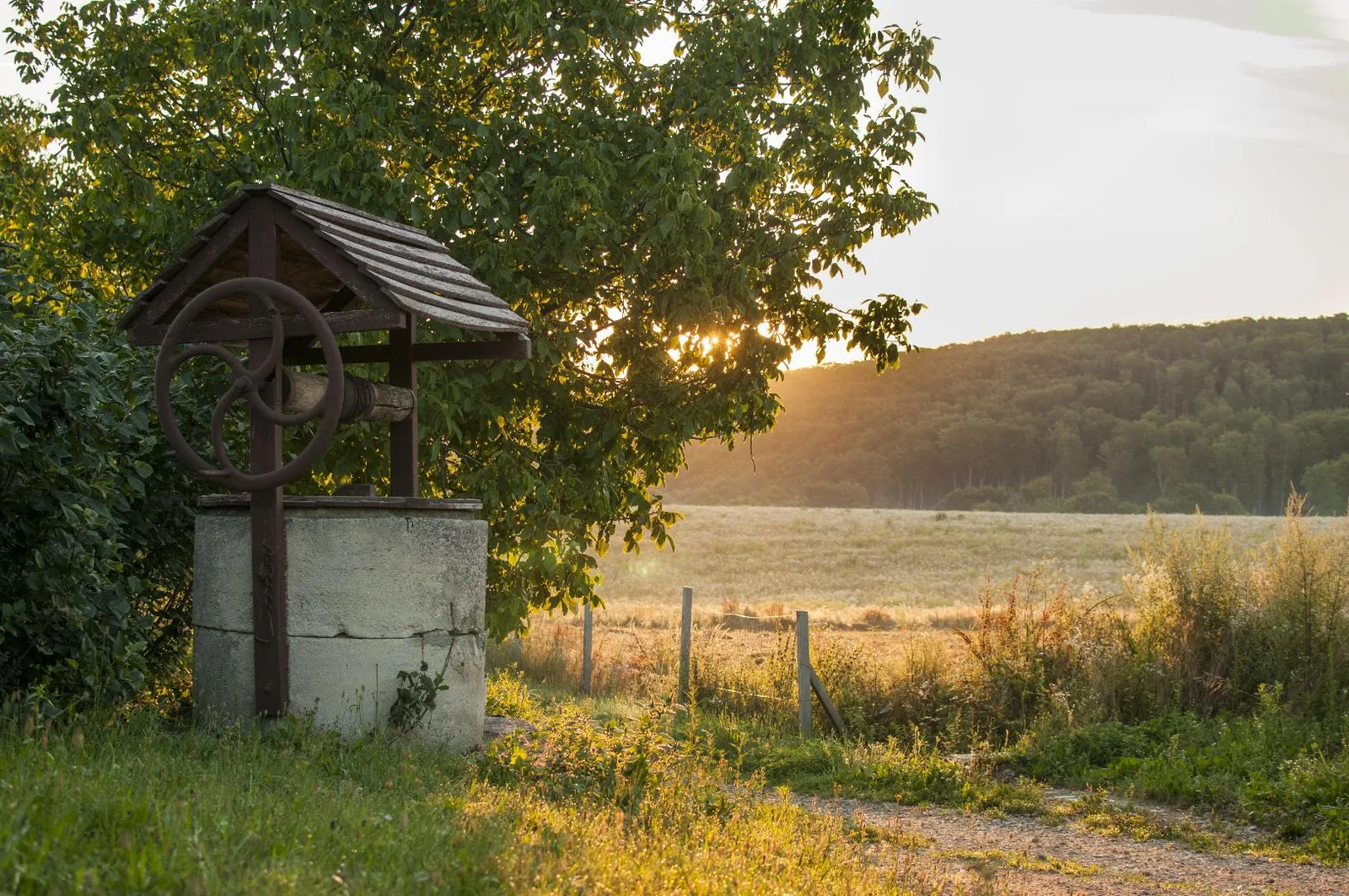 Fotó: Pesty Márton