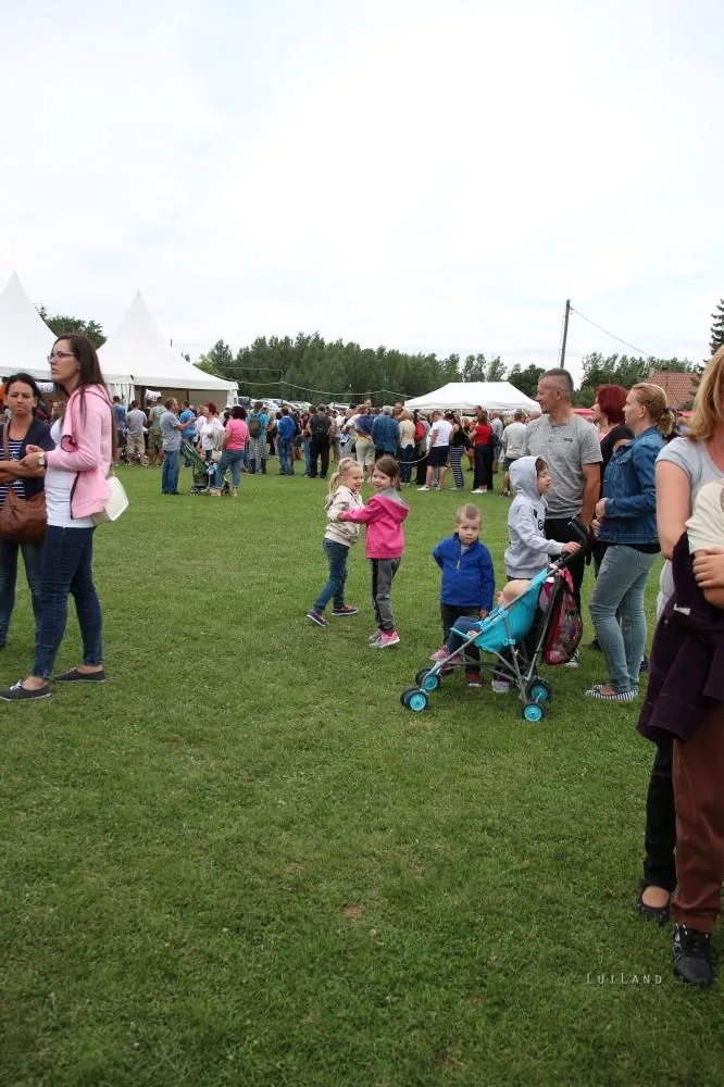 Fotók: Útirány.hu