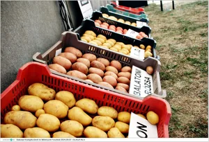 Fotók, Útirány.hu