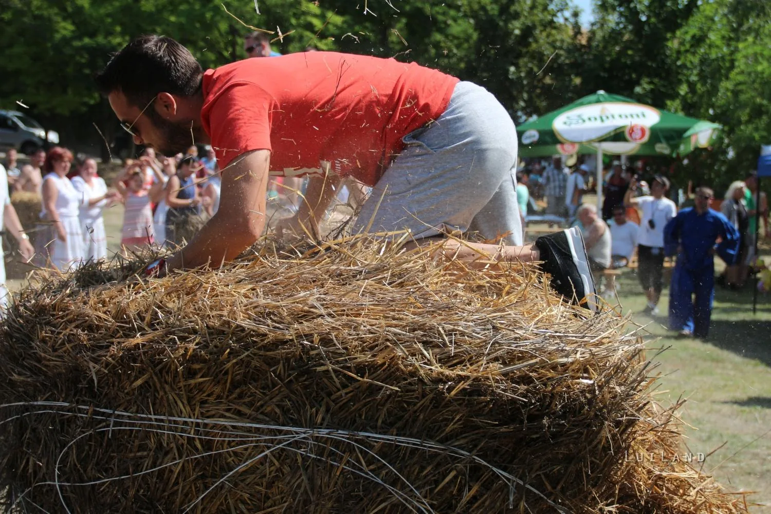 2017 Ösbő Vezér napok/ szombat/ képekben