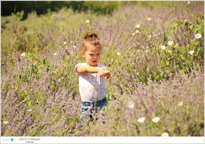 Fotók, Útirány.hu: