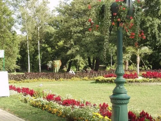 'Miskolctapolcai parkrendszer' cikk borítóképe