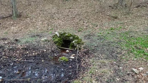 'Árpád kút' cikk borítóképe