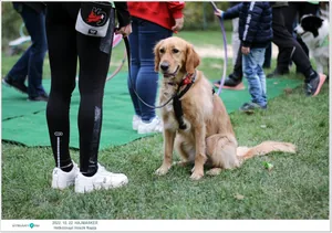 Fotók, Útirány.hu