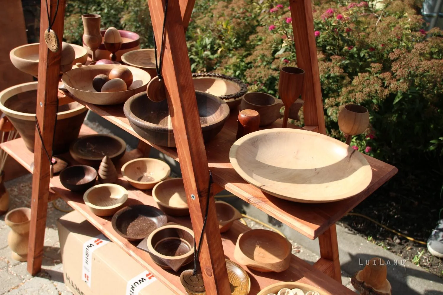 Kora délután, fotók: BakonyiHírek