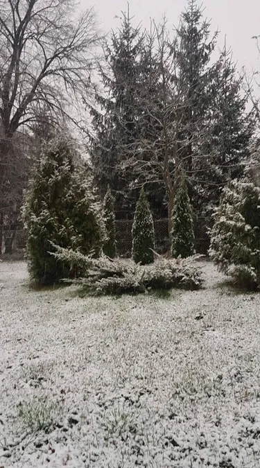 Fotók: Veinperlné Kovács Andrea, Polgármester