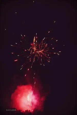 Nyárbúcsúztató főzőverseny, Fotó: LuiLand 