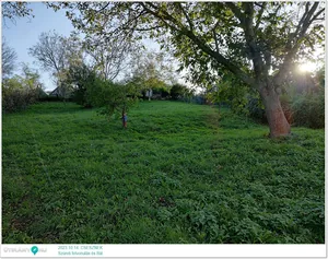 Képek: Útirány.hu